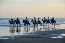 Brazil-Alagoas-The Coconut Trail Ride